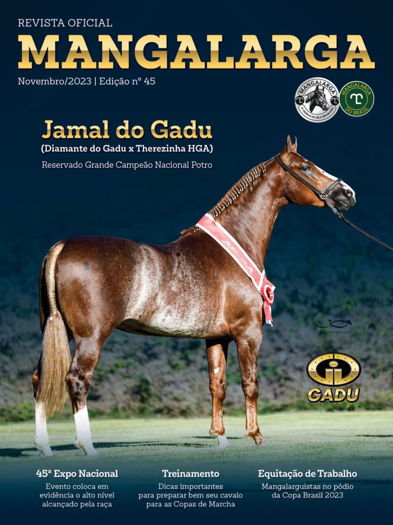 Capa da edição 45